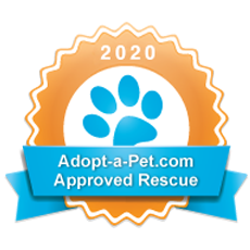 Adopt A Pet Dog & Cat Rescue