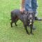 Bridget (Lil Girl)
