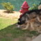 Shadow