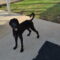 “Archie” Archibald